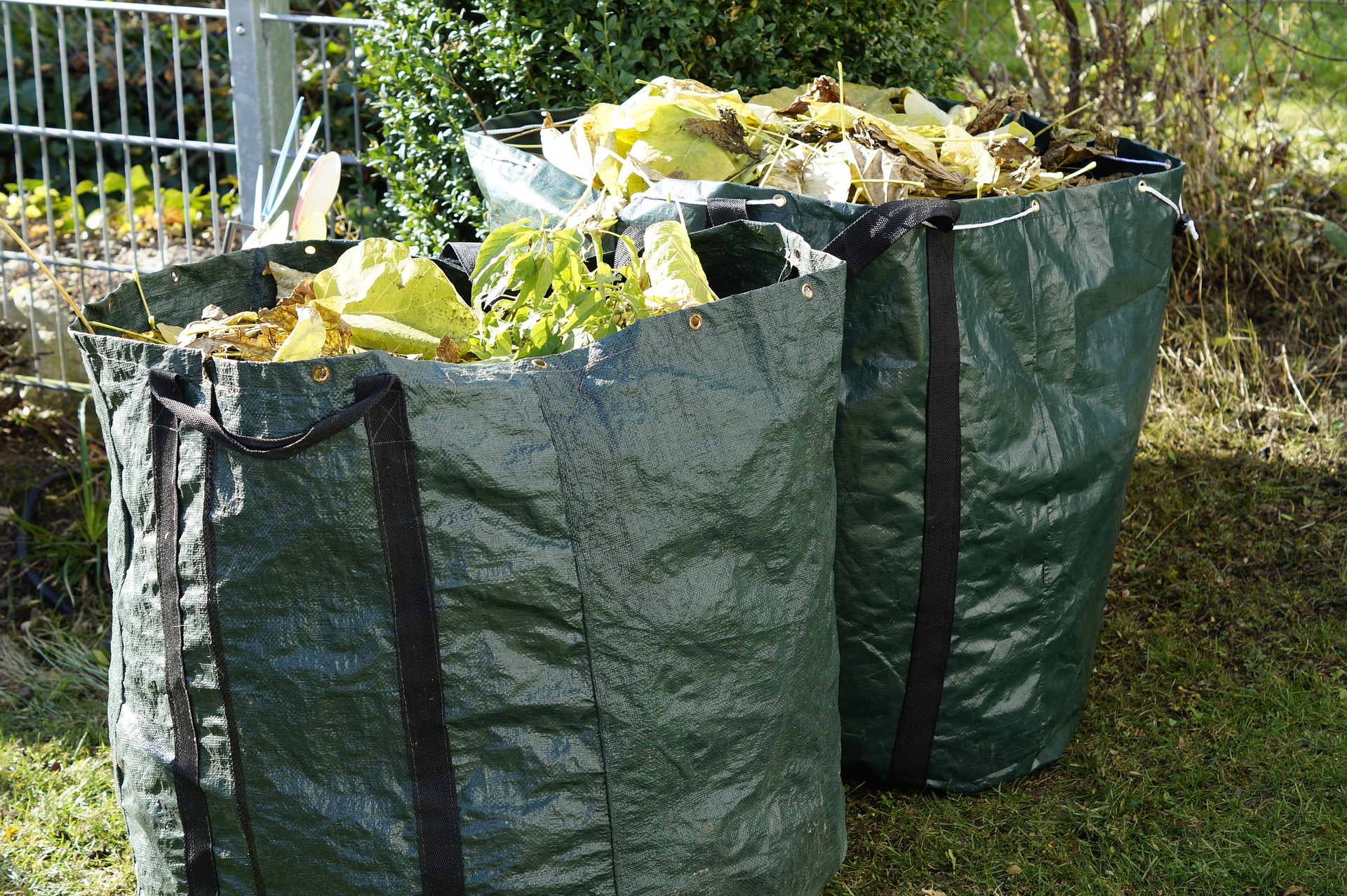 Garden Clearance