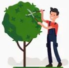 Bexhill Gardening tree pruning Bexhill Gardening tree pruning