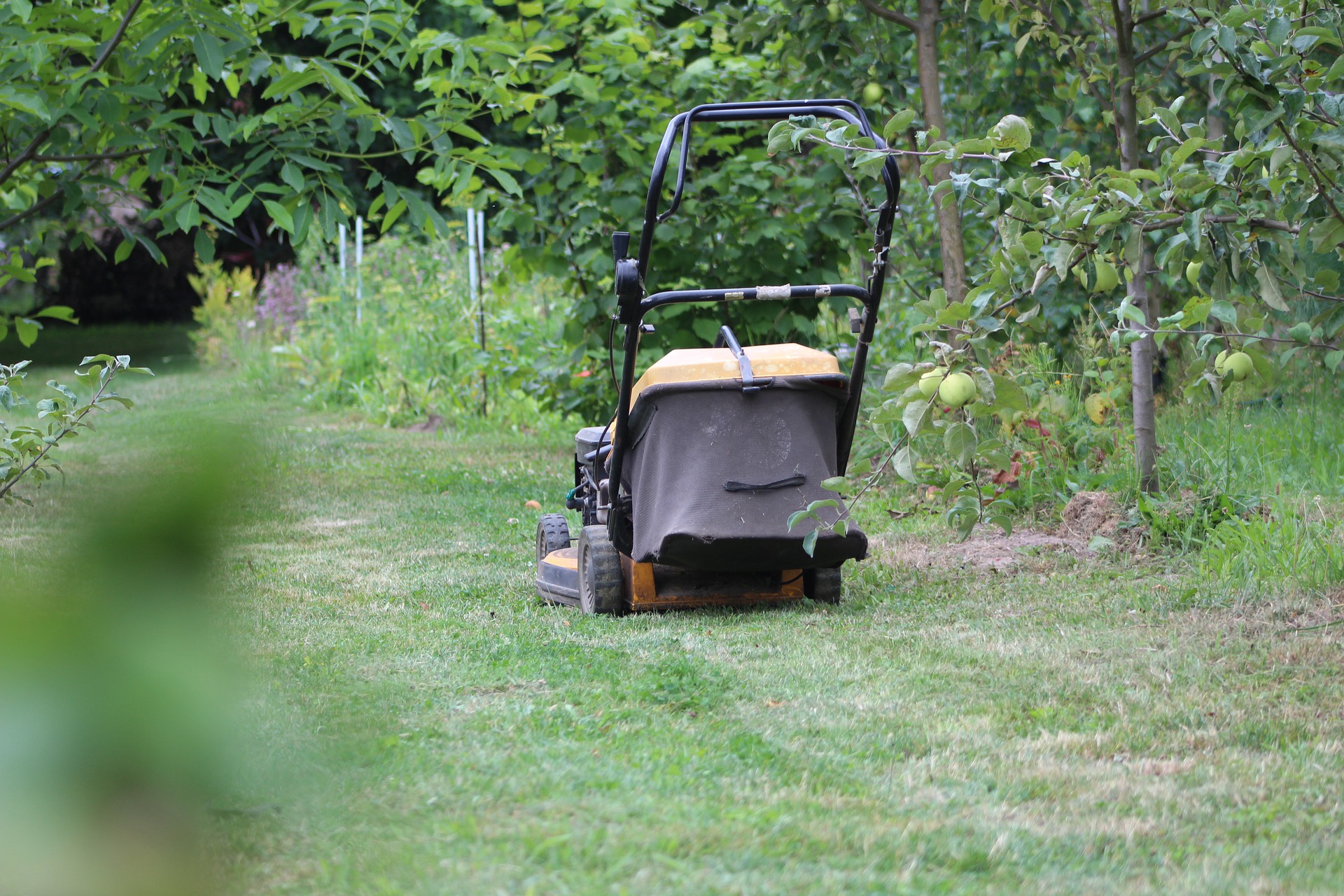 Bexhill lawn mowing