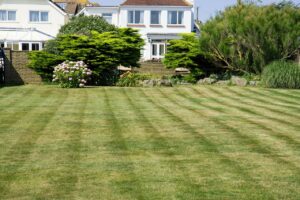 Gardening lawn mowing stripes grass cutting