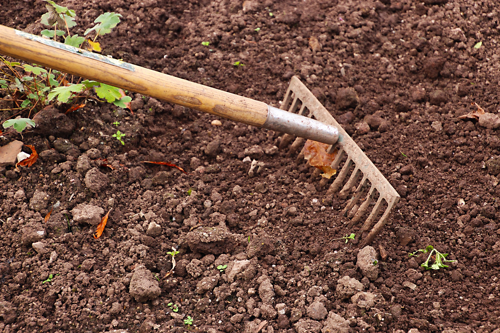 Gardening raking and weeding