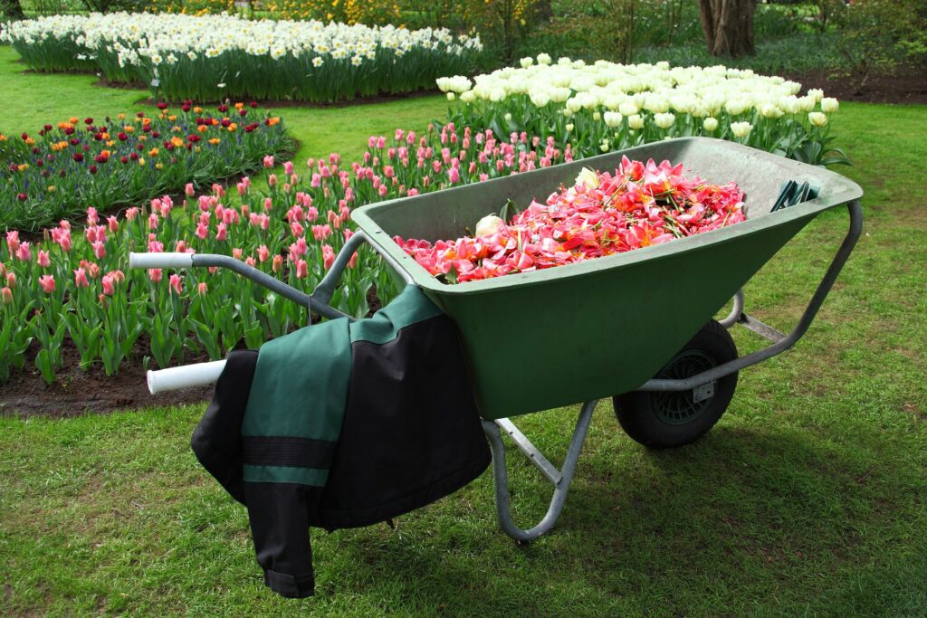 Bexhill Gardener pruning flowers