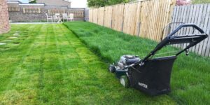Lawn mowing in bexhill