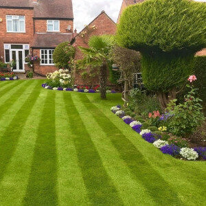 Garden with stripes in lawn