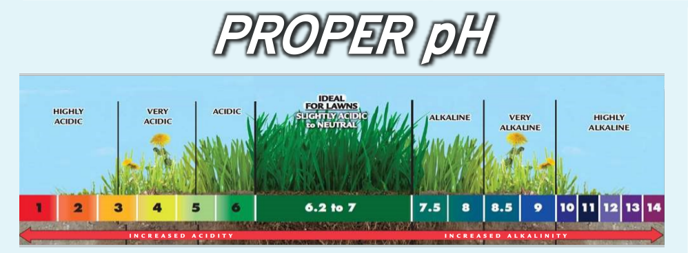 Lawn PH level chart